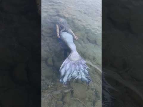 SILVER MERMAID DISAPPEARS