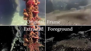 Real Time Video Scene Classification for Underwater Applications