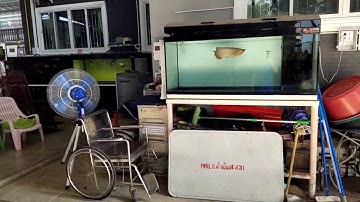 Boy ราชบุรี II - O4FS ตู้ปลา 4 ใบ + เปลี่ยนสติกเกอร์ + Upgrade งานลม Set 1