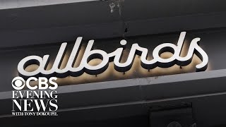 Can Allbirds Take Flight As An Ai Company?