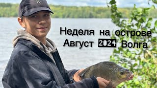 Неделя на острове в августе 2024 года, река Волга.