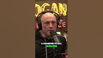 Unbelievable WWII Ceasefire: Russians and Germans Unite to Combat Wolf Attacks