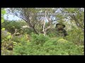 Jagd in Norwegen - Hunters Video