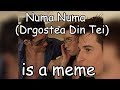 Numa Numa (dragostea din tei) is a meme