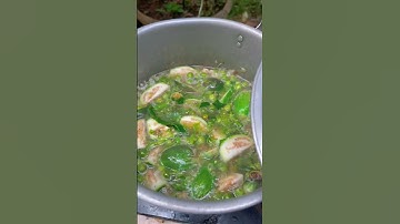 Món ngon Tây Nguyên, Cà Dại nấu cá hấp #chefsuoi47 #shorts