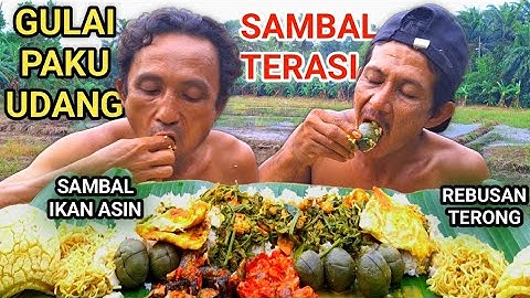 MAKAN DI SAWAH GULAI PAKU UDANG, IKAN ASIN, MIE GORENG LALAPAN TERONG SAMBAL TERASI #gulaipakis