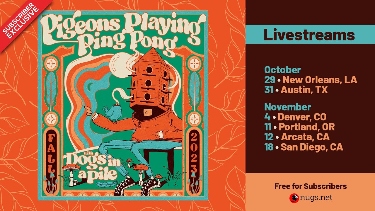 Pigeons Playing Ping Pong Livestream at The ELM in Bozeman, MT on 11/8/23 YouTube