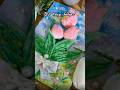 3D Clay Tulip Flowers 🌷✨ #3d #clayart #aesthetic #daily #shorts #trending #90s #flowers #hindisong
