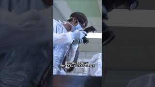 アンナチュラル#ドラマ #映画red #movie