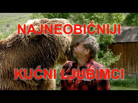 NAJNEOBIČNIJI KUĆNI LJUBIMCI