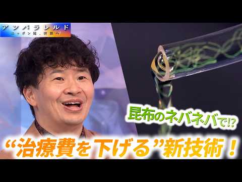 高額な再生医療に新風！昆布のネバネバで細胞培養コストを7割削減！？【アンパラレルド】