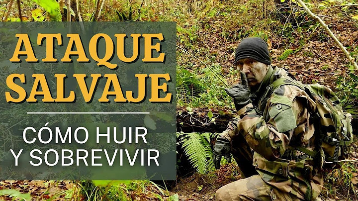Sobrevivir a un ataque... Fuga, búsqueda, evasión. Cómo desaparecer.