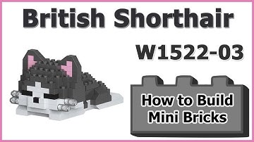 How to Build Mini Blocks British Shorthair W1522-03 Review Instructions Specifications