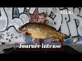 pêche de la carpe au printemps// vlog pêche de journée en étang