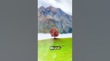 ✨ 7 Cách Để Thực Hiện Mục Tiêu Mỗi Ngày.