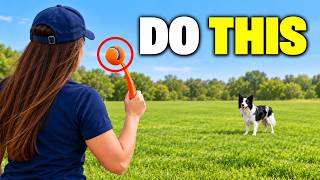 Full How To  EXHAUST High Energy Dog in 10 Minutes News