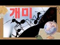개미 접사 접사동영상