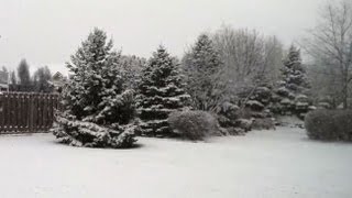 Winter Storm Caesar Brings The First Snow Of The Season