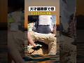 天才建築家で草 #shorts #おもしろ #おすすめ #すごい #海外 #海 #家族 #ハプニング #バズれ