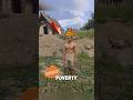 How to NOT be BROKE in Kingdom Come Deliverance 2 #gaming #kingdomcomedeliverance2 #funny #humor