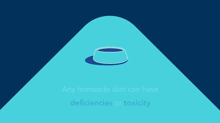 AskVCA Nutrition - Are homemade diets safe for my pet?