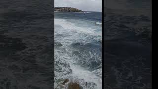 Bondi Beach Surf & Icebergs Pool