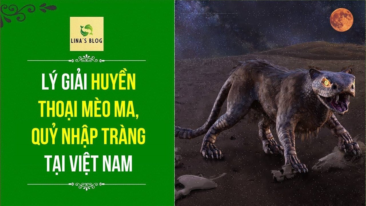 LÝ GIẢI HUYỀN THOẠI MÈO MA, QUỶ NHẬP TRÀNG TẠI VIỆT NAM - YouTube