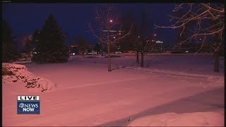 Snowy and cold in Fort Collins