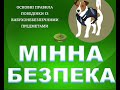 Акція &quot;Обережно  - міни!&quot; до Міжнародного дня просвіти з питань мінної безпеки