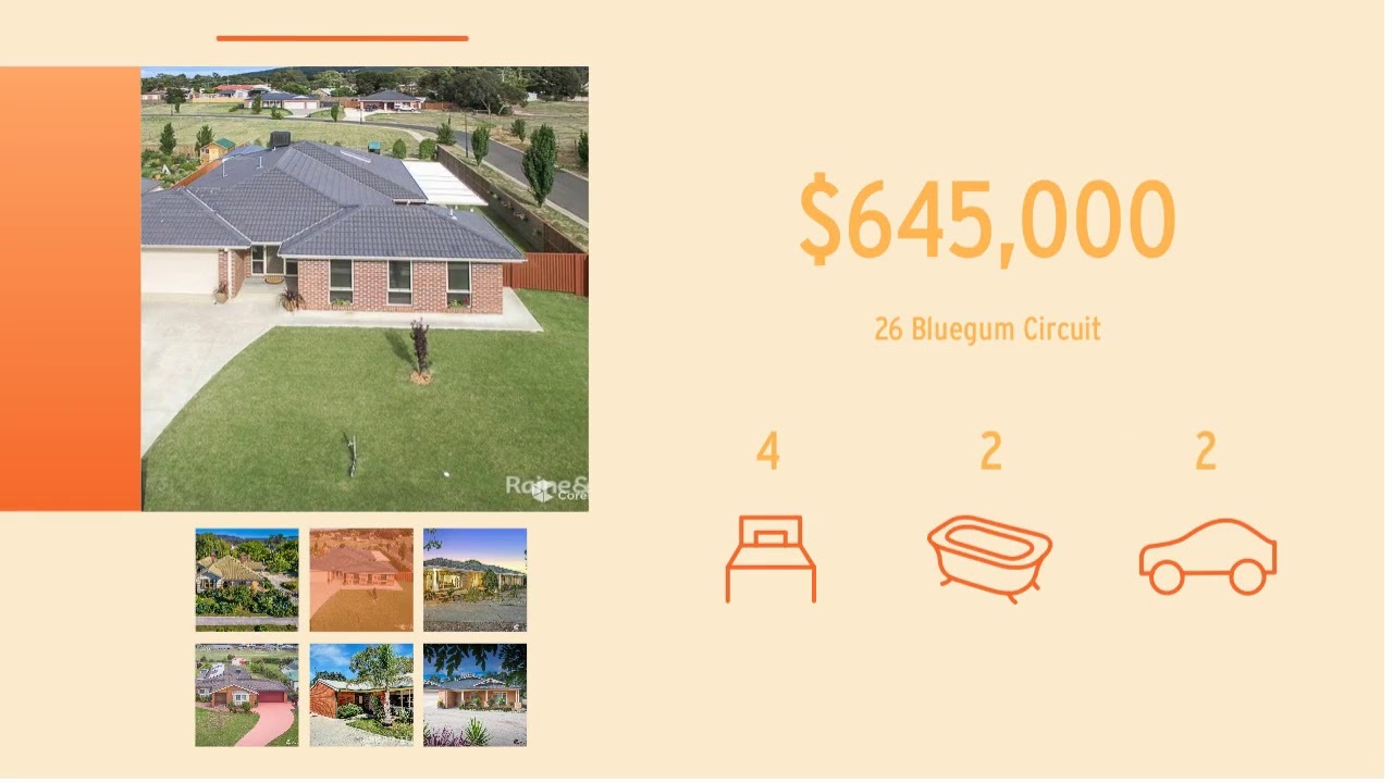 Riddells Creek Market Update YouTube