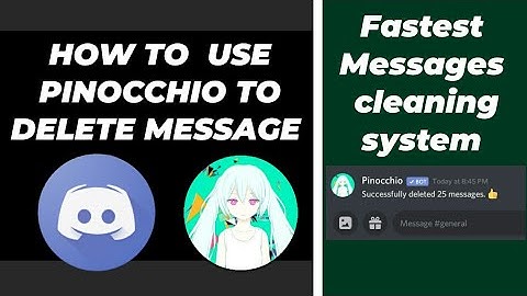 How to use Pinocchio bot to delete messages | Delete messages in Discord | Fast & Easy | Phone & PC