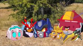 Real life Angry Birds Transformers -Bowser12345