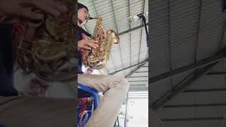 Download Lagu Ajar Aku O Tuhan Ku (KEE 249) FULL BAND VERSION MP3