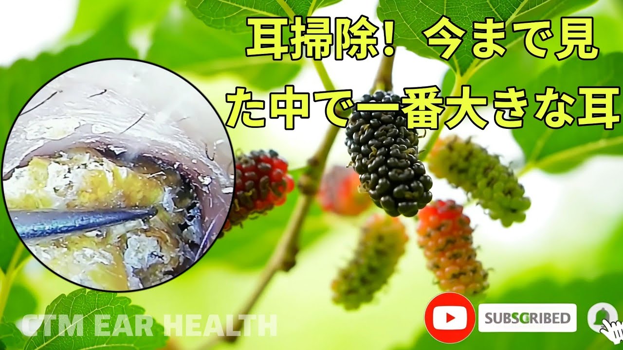 小さな道具を使ってワックスを簡単に取り除く方法 Vol.06