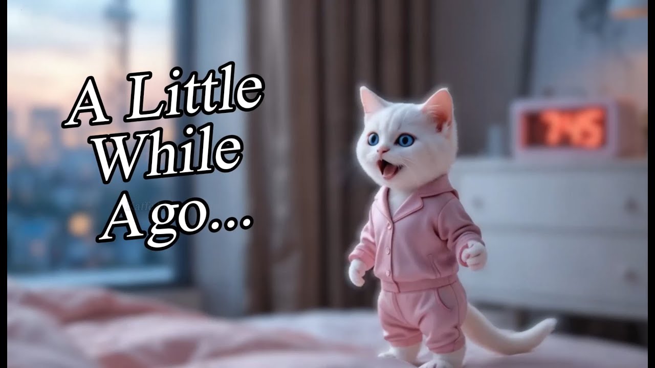 5 AM Morning Routine | Funny Cats doing Human Things | Funny Cats doing ...