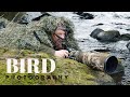 Most unbelievable moment in nature || BIRD PHOTOGRAPHY - dipper, camouflage, spring