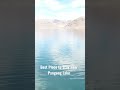 Where to Stay in Maan Village near Pangong Lake #youtubeshorts #pangonglake #ladakh #wheretostay