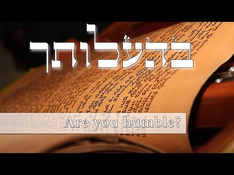 Parashat Behaalotecha - Why should I be humble? - Rabbi Alon Anava