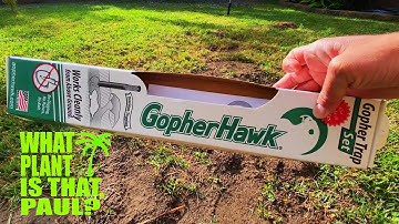 GopherHawk Review (  My Thoughts after using it for 2 Weeks )