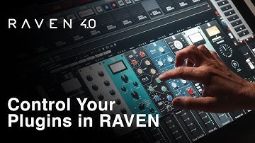 Control Your Plugins in RAVEN