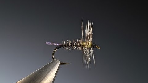 Fly Tying a Hatching midge dry fly with Barry Ord Clarke