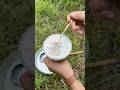 Mango Sago Recipe Kanchikoeasynepalirecipe Mangosagodessert Mango Sago Recipe Kanchikoeasynepalirecipe Mangosagodessert