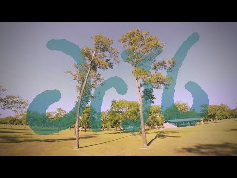 Call of the Void