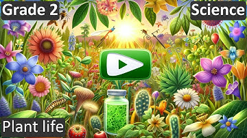 Grade 2 | Science | Plant life | Free Tutorial | CBSE | ICSE | State Board