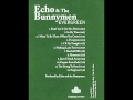 Echo & The Bunnymen - In my time