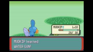 Mudkip is Evolving