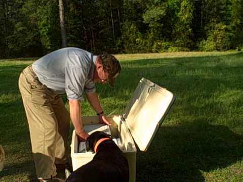 Getting the Meat Home.wmv - YouTube