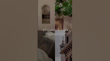 سورة نوح 🤍🤎(قال ربي أني دعوت قومي ليلاً ونهاراً)