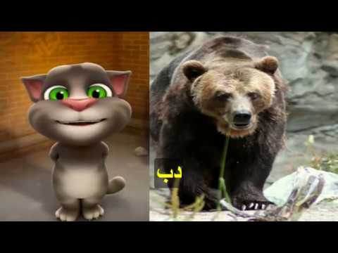 تعليم الاطفال النطق عن طريق اصوات الحيوانات بالصوت والصورة سنتين مع القط توم المتكلم