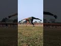Hand flipping 👍 #short #exercise #fitness #viral #tranding #motivation #fit #love #alone #cardioOne